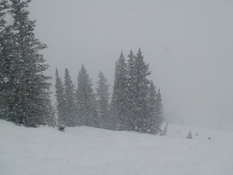Illustration for article titled '18/'19 Ski Blog (Post #12) -Â Solitude and Snowbird, UT